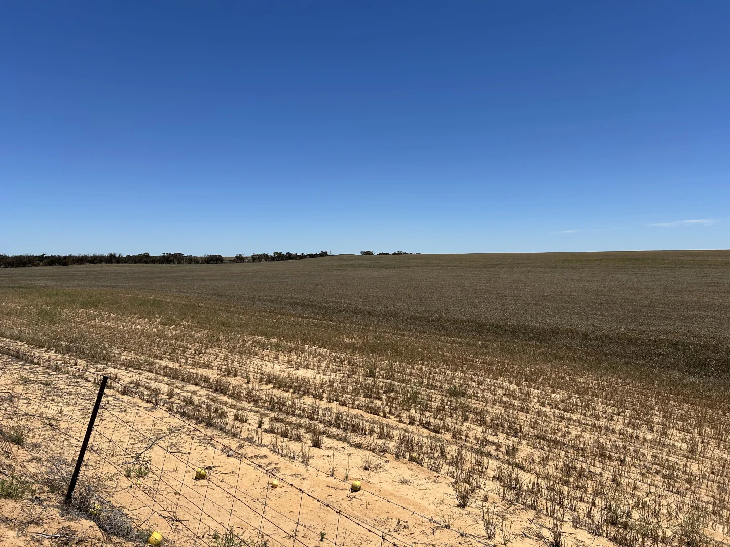 Additional image 11 of 8689 Browns Well Highway, Pinnaroo SA 5304