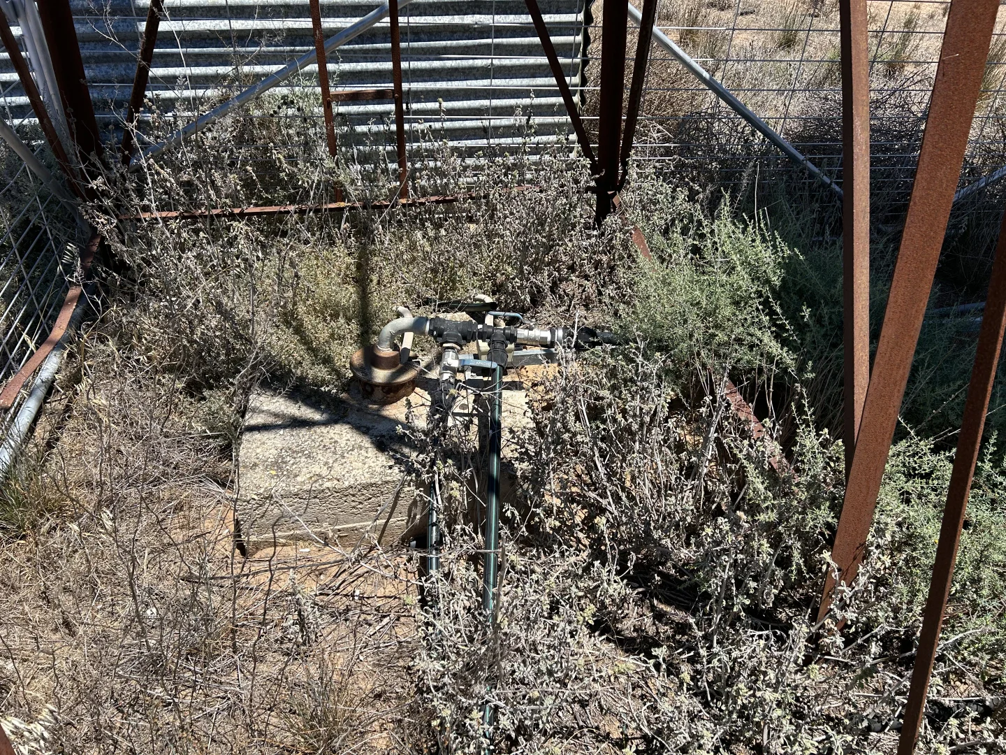 Additional image 6 of 8689 Browns Well Highway, Pinnaroo SA 5304