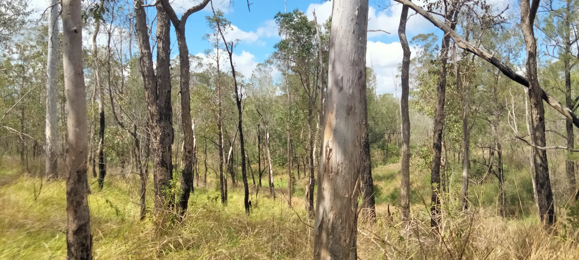 Additional image 33 of 3359 Lowmead Road, Lowmead QLD 4676