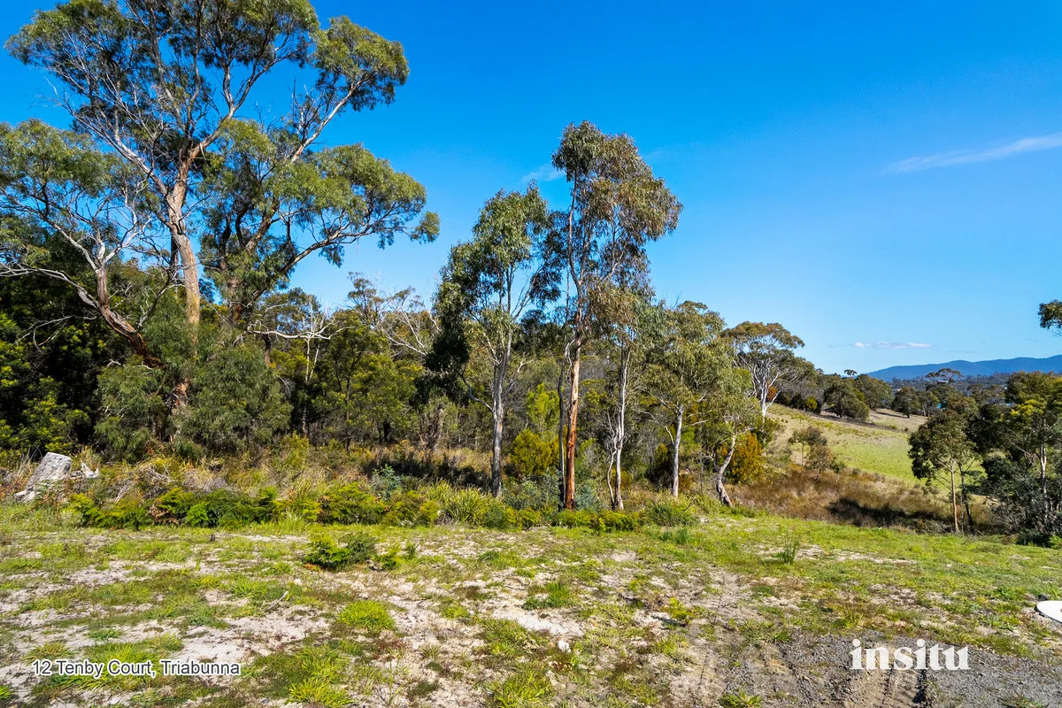 Additional image 12 of Tenby Court, Triabunna TAS 7190