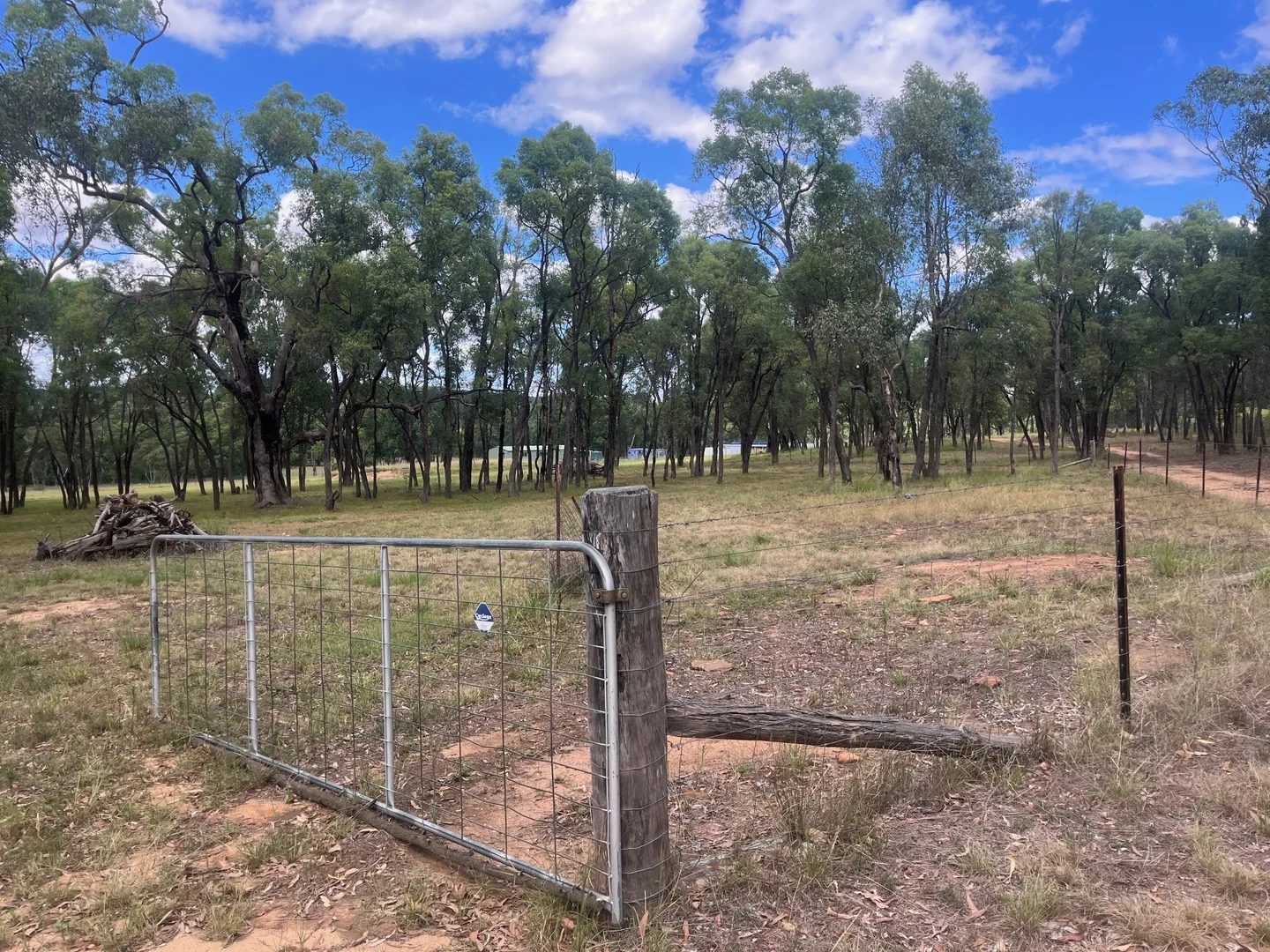 Additional image 31 of 122 Dows Lane, Coonabarabran NSW 2357
