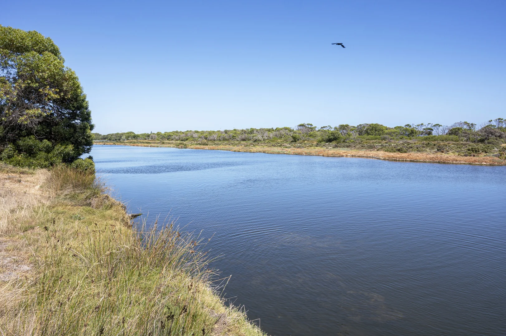 Additional image 11 of Lot 39 Webster Road, Wonnerup WA 6280