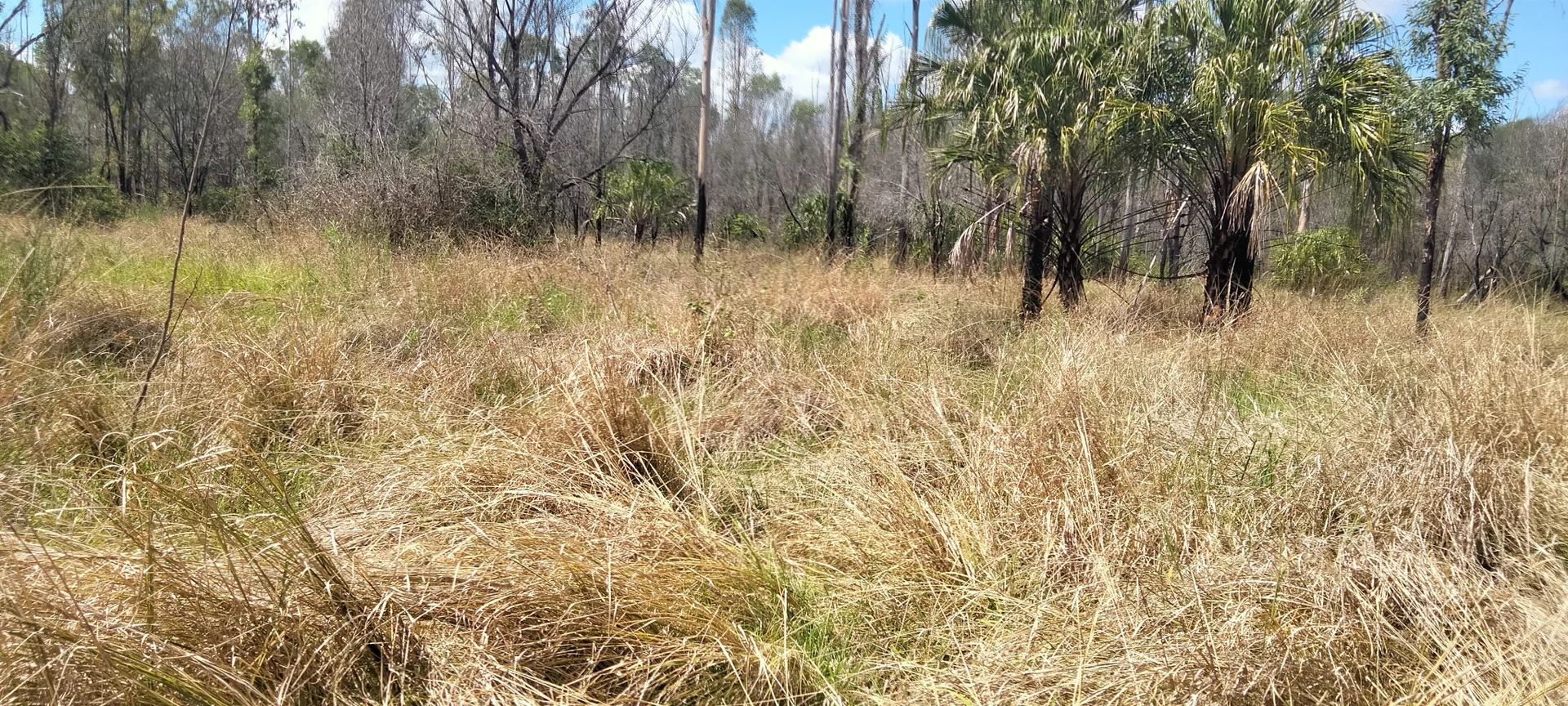 Additional image 7 of 3359 Lowmead Road, Lowmead QLD 4676