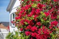 Additional image 16 of 1 Serrano Way, Del Rey Oaks, CA, 93940