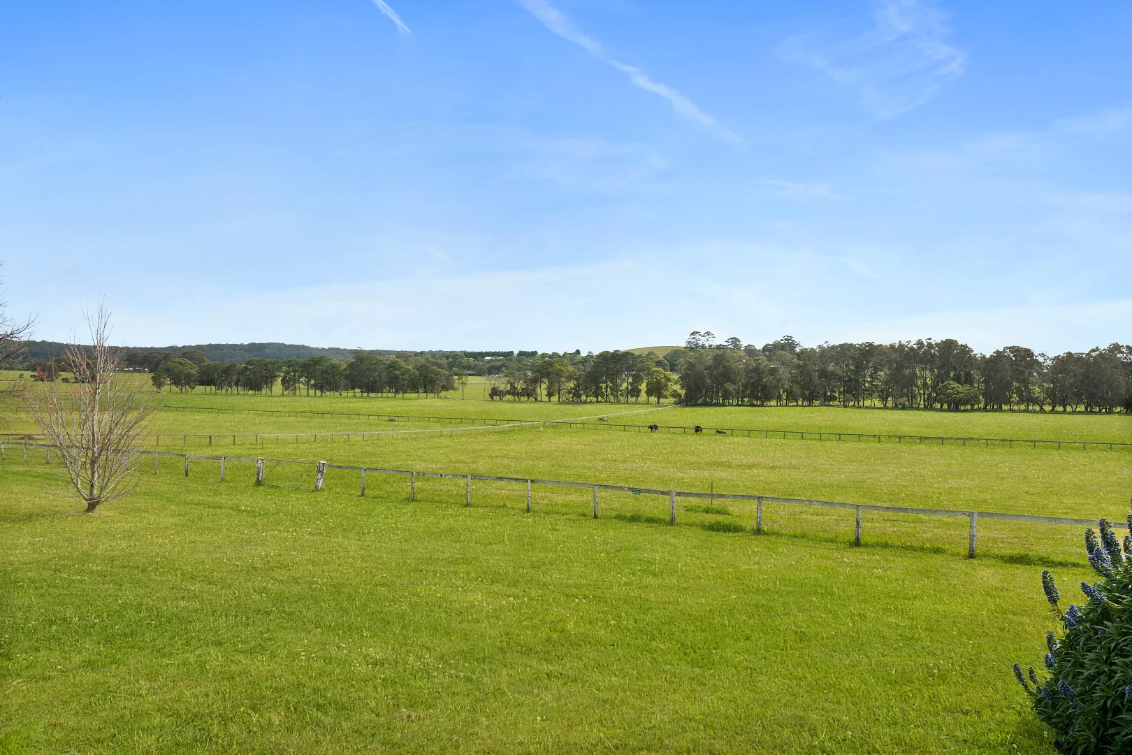 Additional image 20 of 140B Bryces Road, Far Meadow NSW 2535