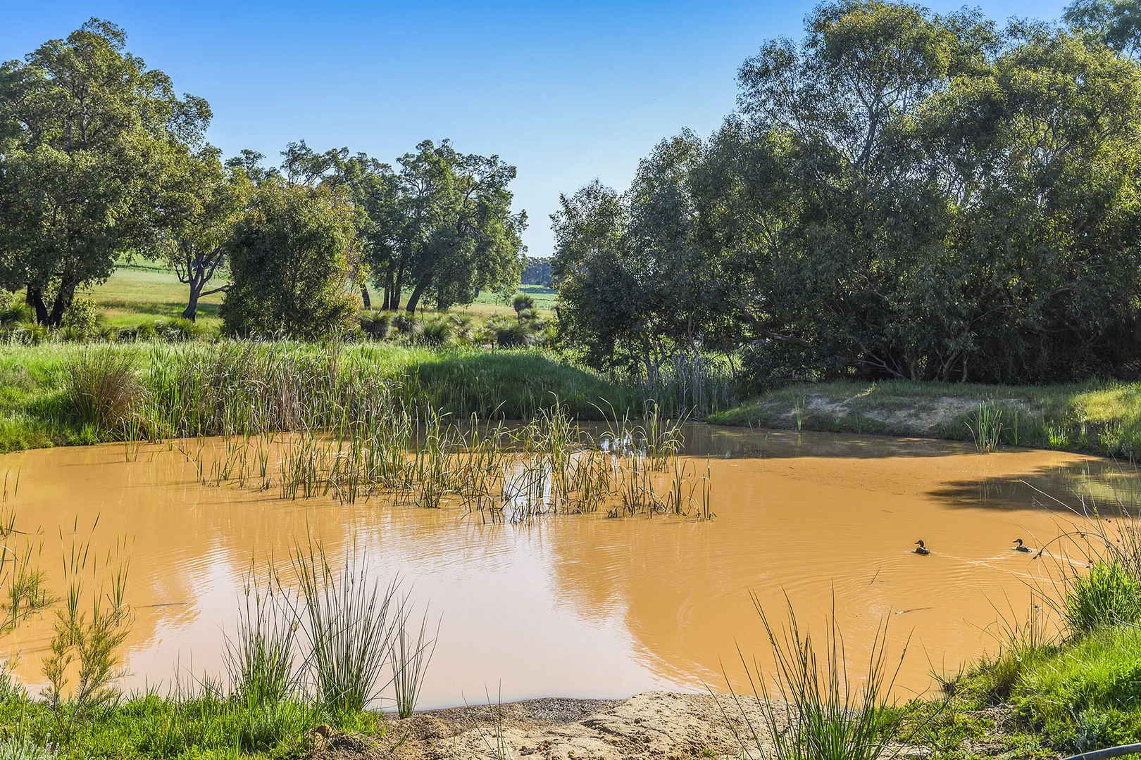 Additional image 14 of Guernsey Rise, Lower Chittering WA 6084