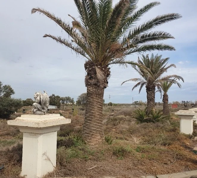 Additional image 28 of 9 Berkshire Road, Mullaquana SA 5608