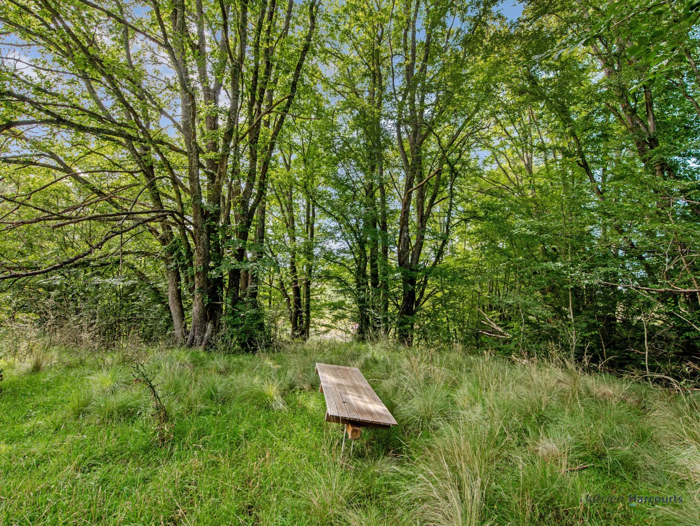 Additional image 44 of 106 Cawthornes Lane, Braidwood NSW 2622