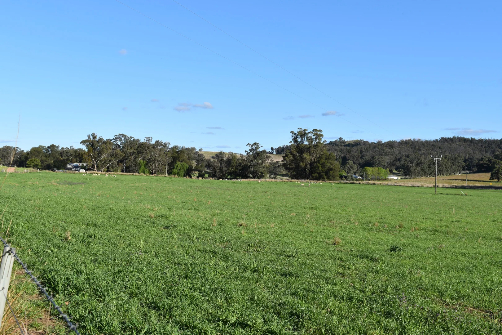 Additional image 83 of 1124 WARKTON ROAD, Coonabarabran NSW 2357