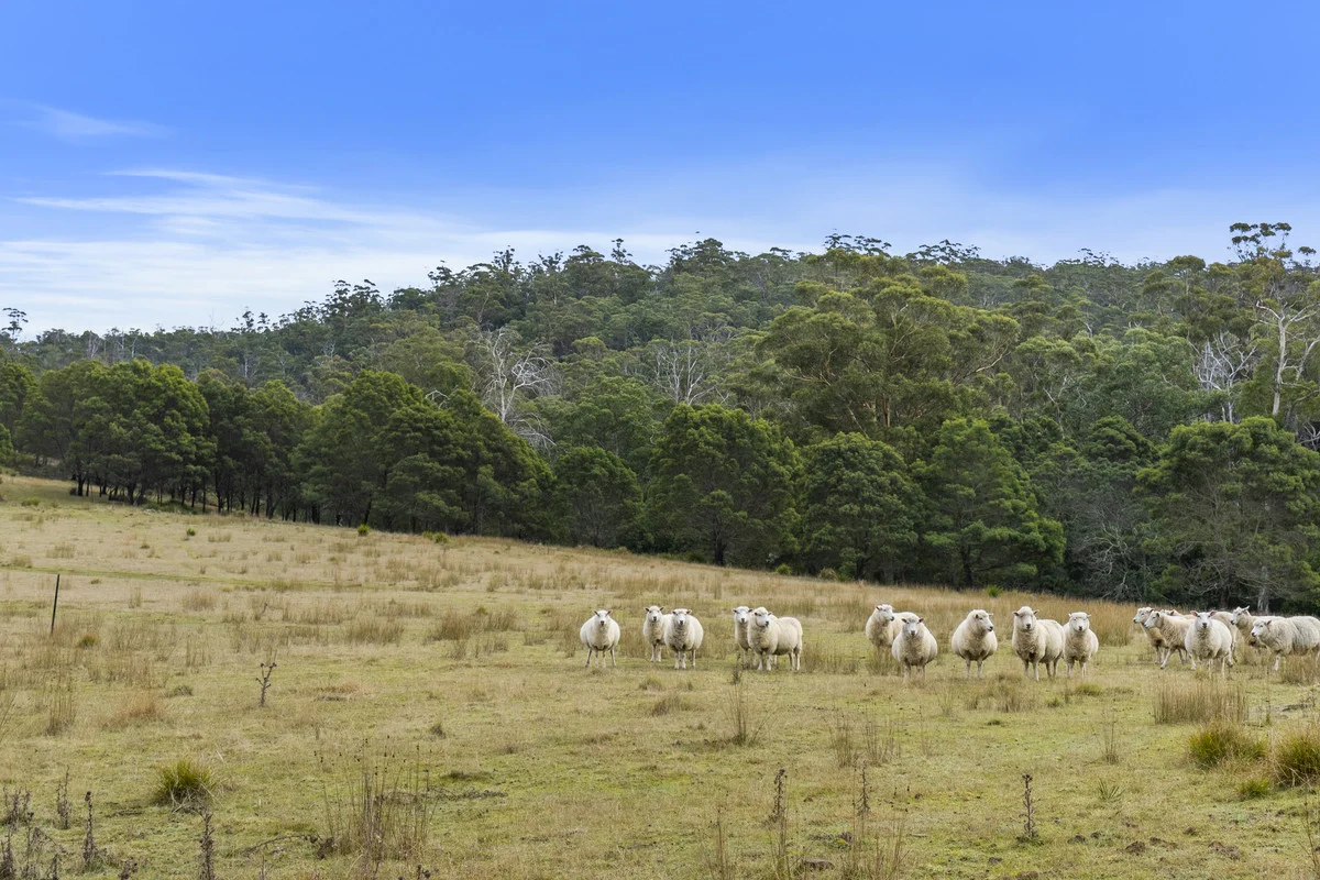 Additional image 16 of 1 & 2 Bresnehans Road, Little Swanport TAS 7190