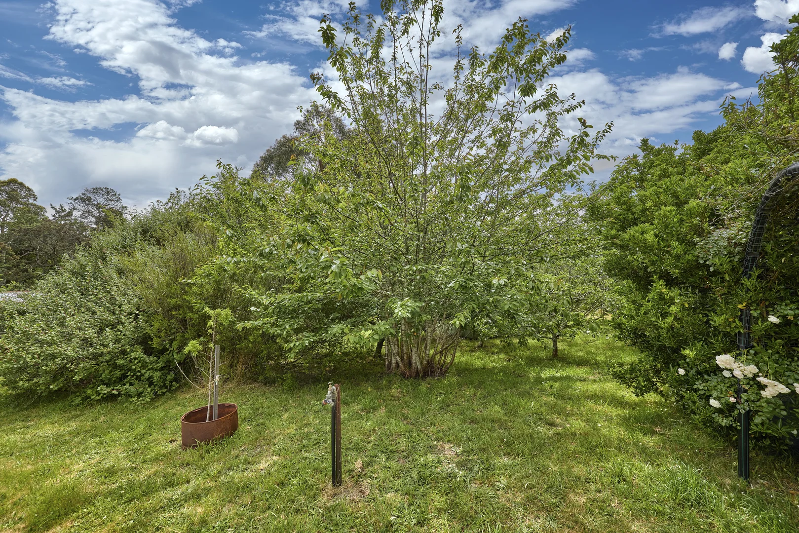 Additional image 20 of 30758 Tasman Highway, Moorina TAS 7264