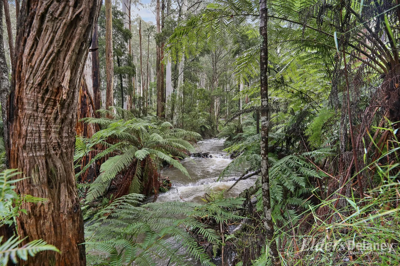 Additional image 20 of 134 Duggan North Road, Fumina VIC 3825