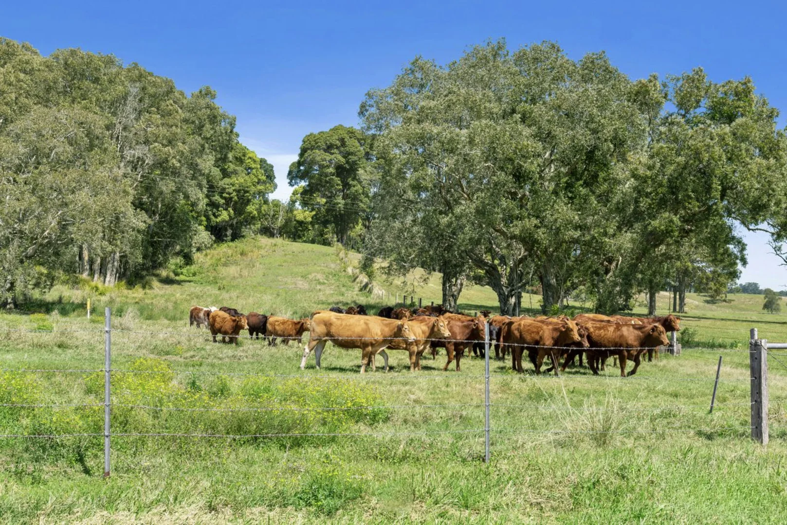 Additional image 20 of 73 Bashforths Lane, Brunswick Heads NSW 2483