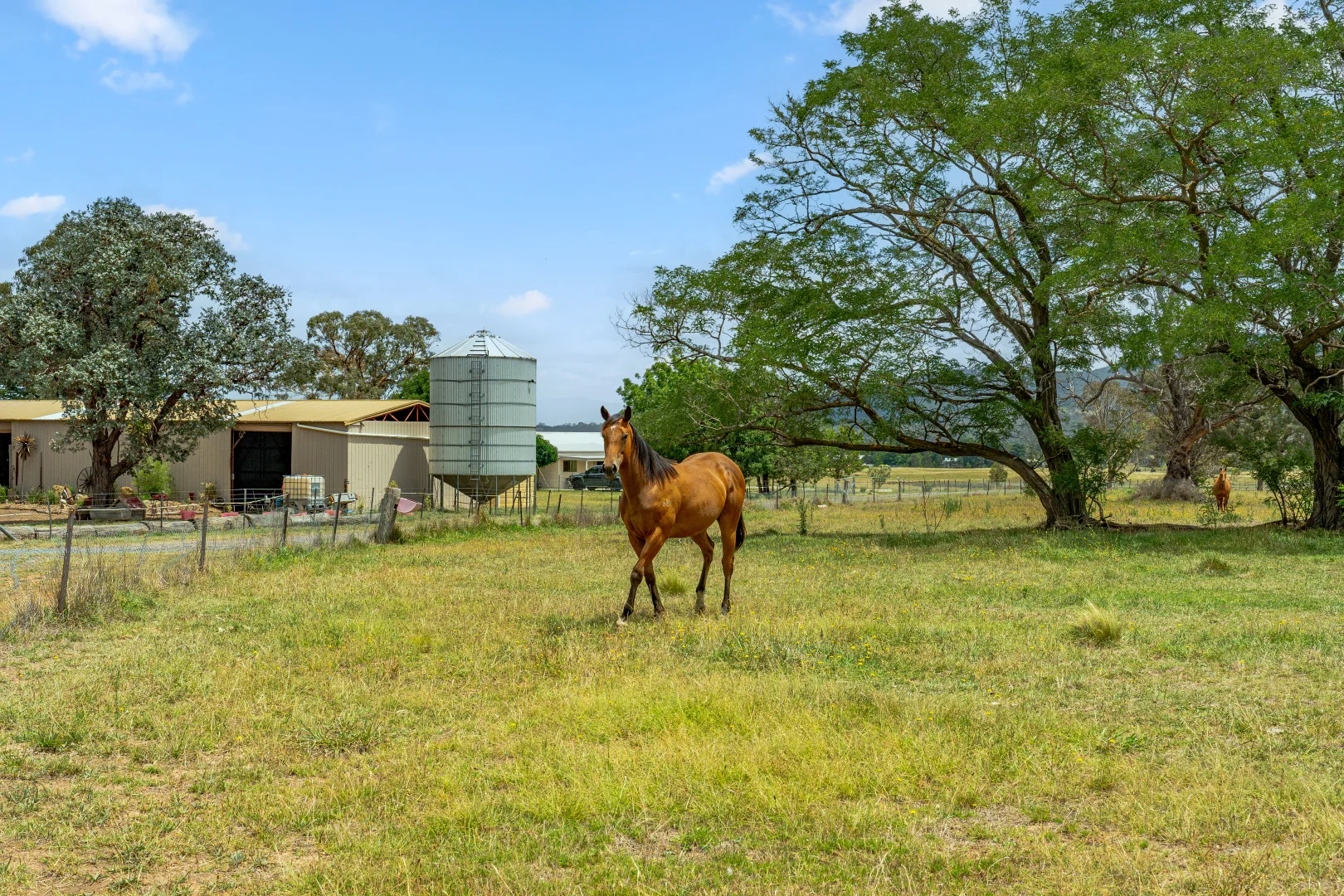 Additional image 41 of 14 Avonley Road, Majura ACT 2609