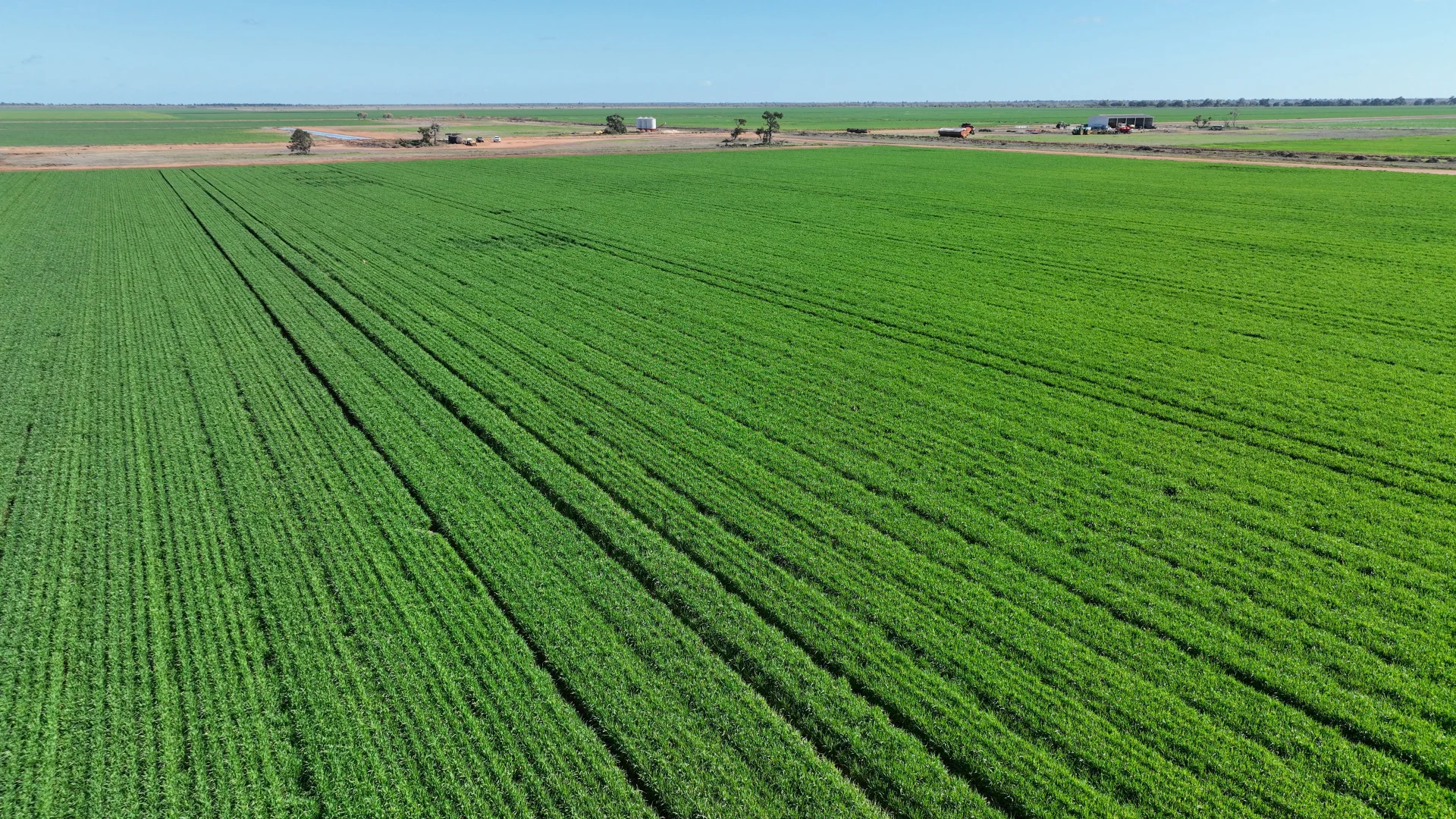 Additional image 3 of "Waringah" Mabins Well Road, Conargo NSW 2710