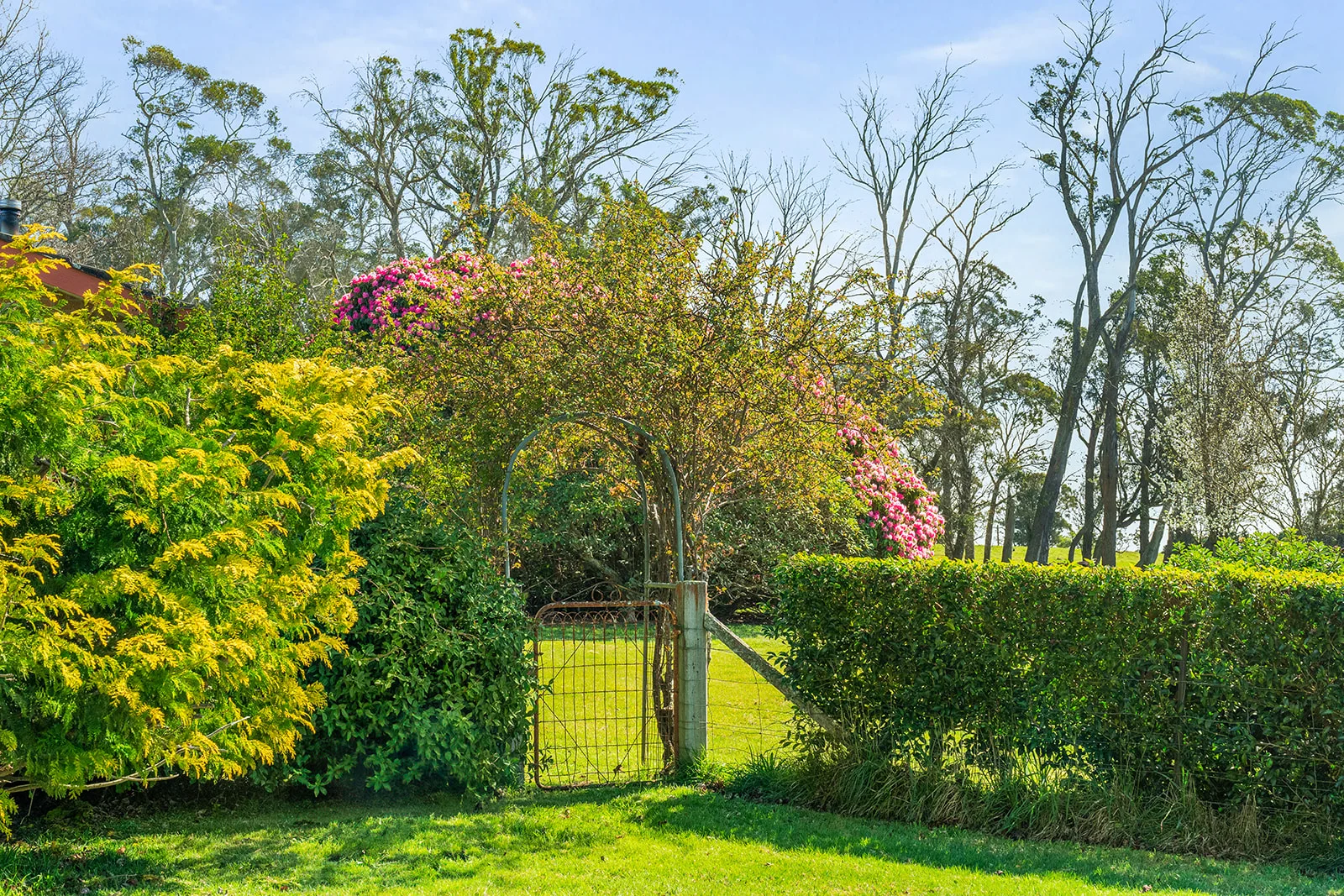 Additional image 15 of 5941 Illawarra Highway, Avoca NSW 2577