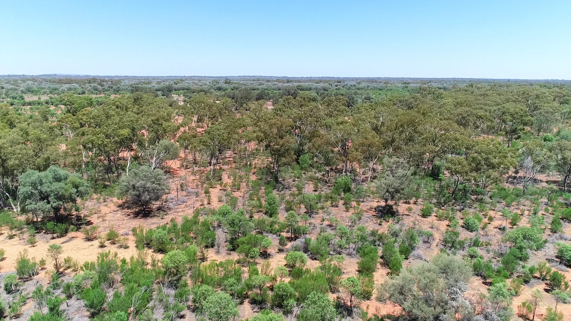 Additional image 13 of 7024 Mulya Road, Cobar NSW 2835