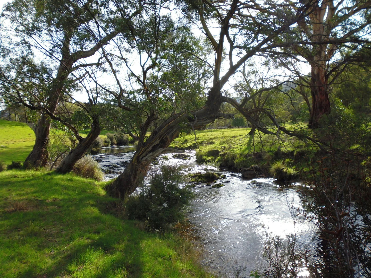 Additional image 3 of 632 Big Yard Road, Moonbah NSW 2627