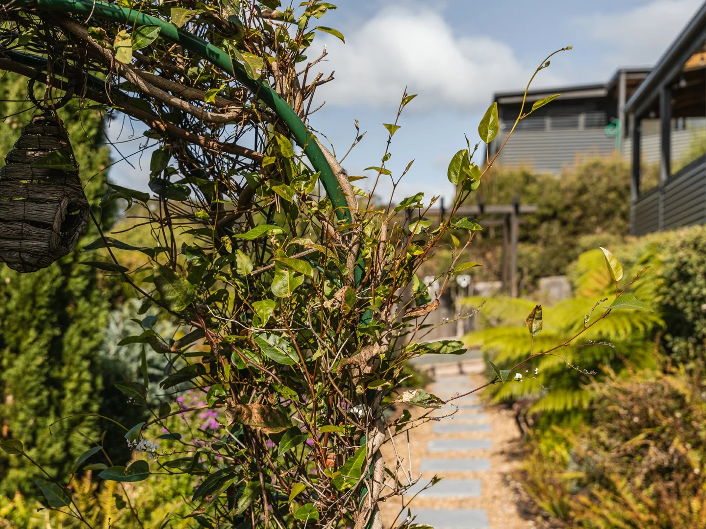 Additional image 30 of 10 Bayvista Rise, St Helens TAS 7216