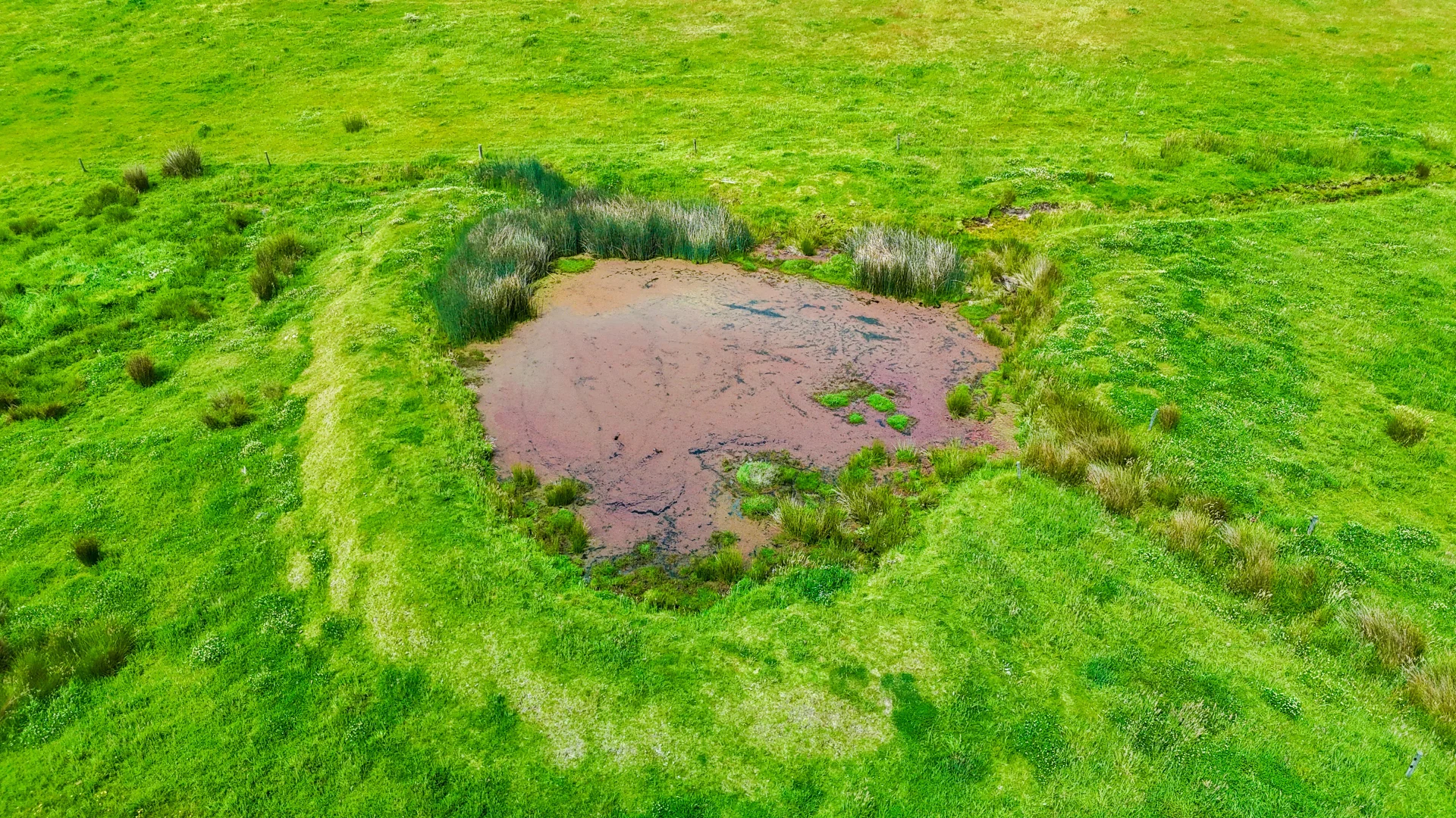 Additional image 18 of 700 Cleland Gully Road, Tooperang SA 5255