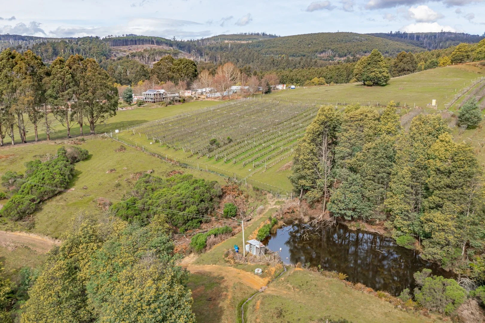 Additional image 38 of 304 Dickensons Creek Road, Glen Huon TAS 7109