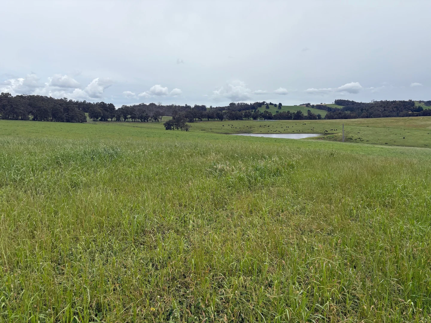 Additional image 22 of Lot 72 Beelerup Road, Beelerup WA 6239