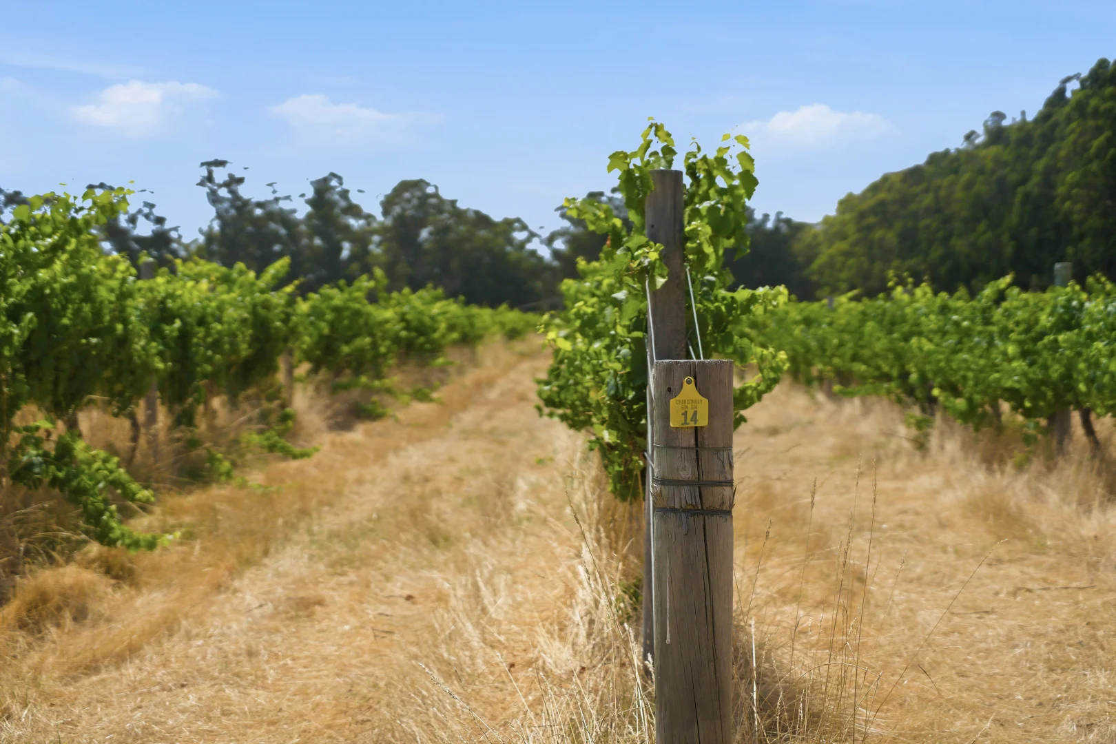 Additional image 9 of 26/3599 Caves Road, Wilyabrup WA 6280