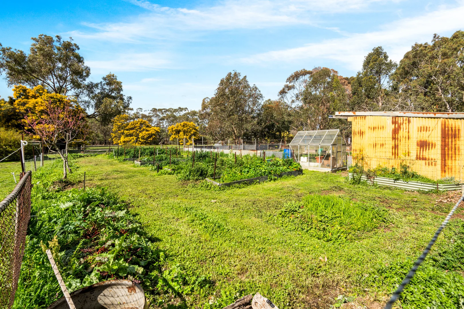Additional image 20 of 15 Jarosite Road, Bellbrae VIC 3228