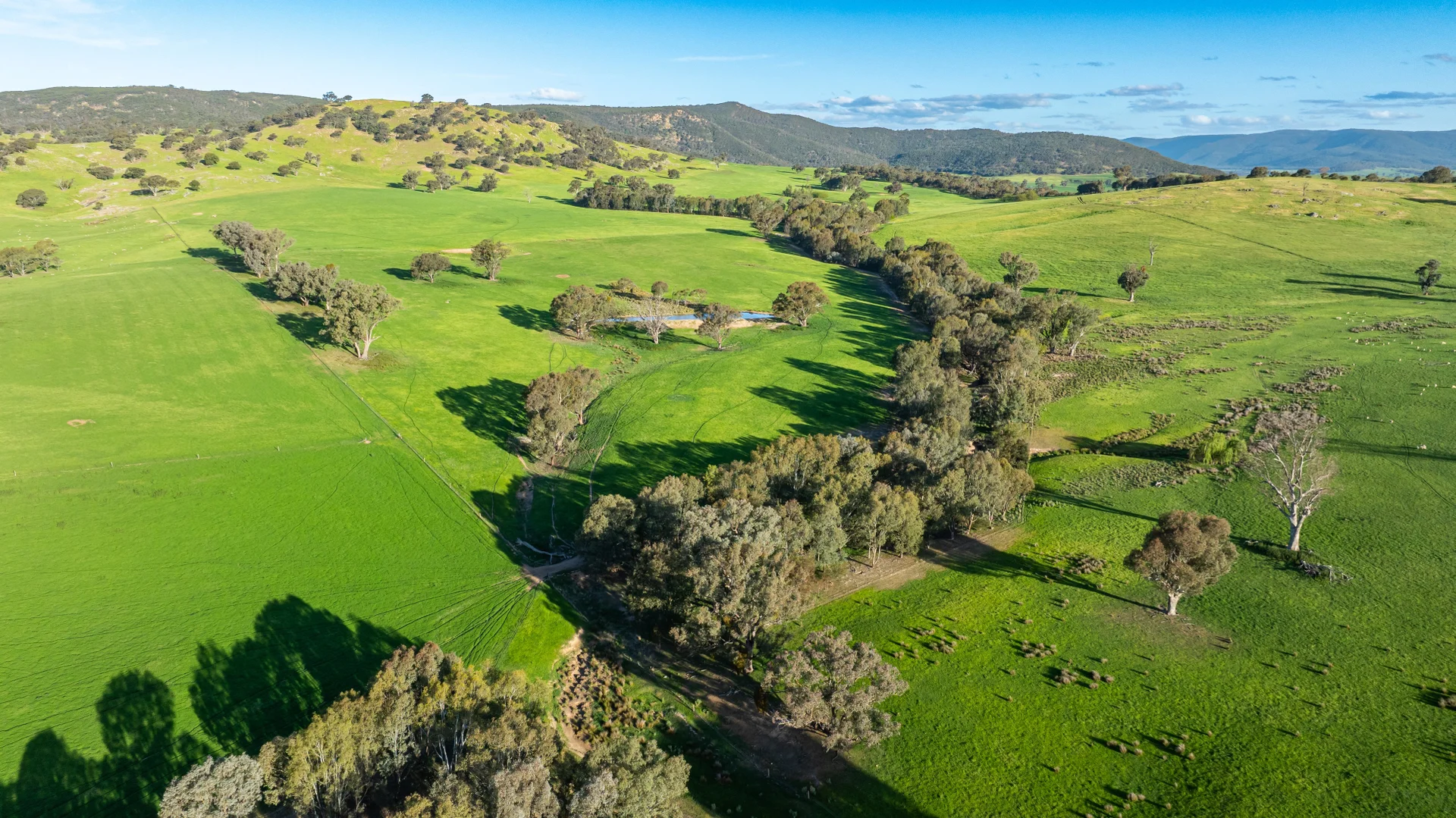 Additional image 8 of Lot 1/279 & Lot 2/281 Jingellic Road, Holbrook NSW 2644