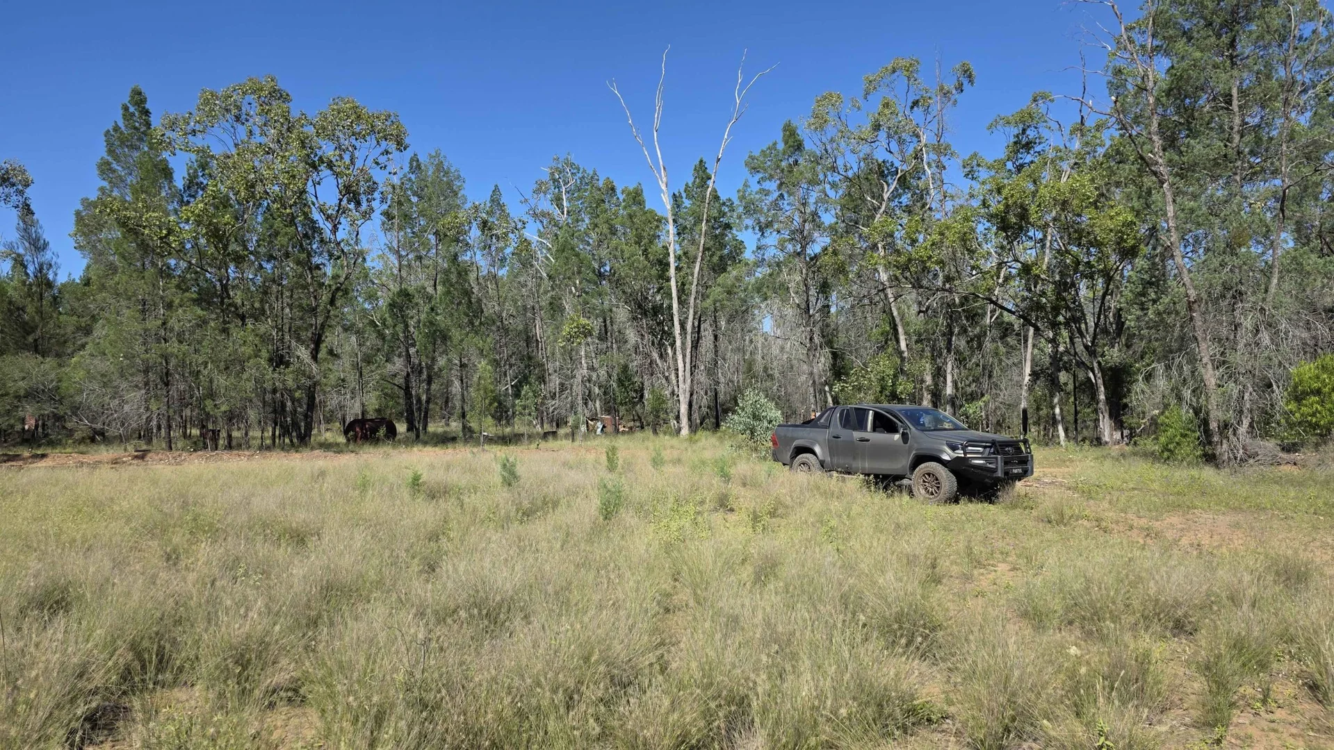 Additional image 3 of LOTS 34-39/221, 520 Pelican Back Road, Pelican QLD 4413