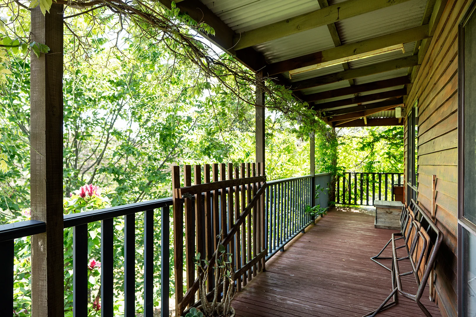 Additional image 6 of 136 Cemetery Road, Elphinstone VIC 3448