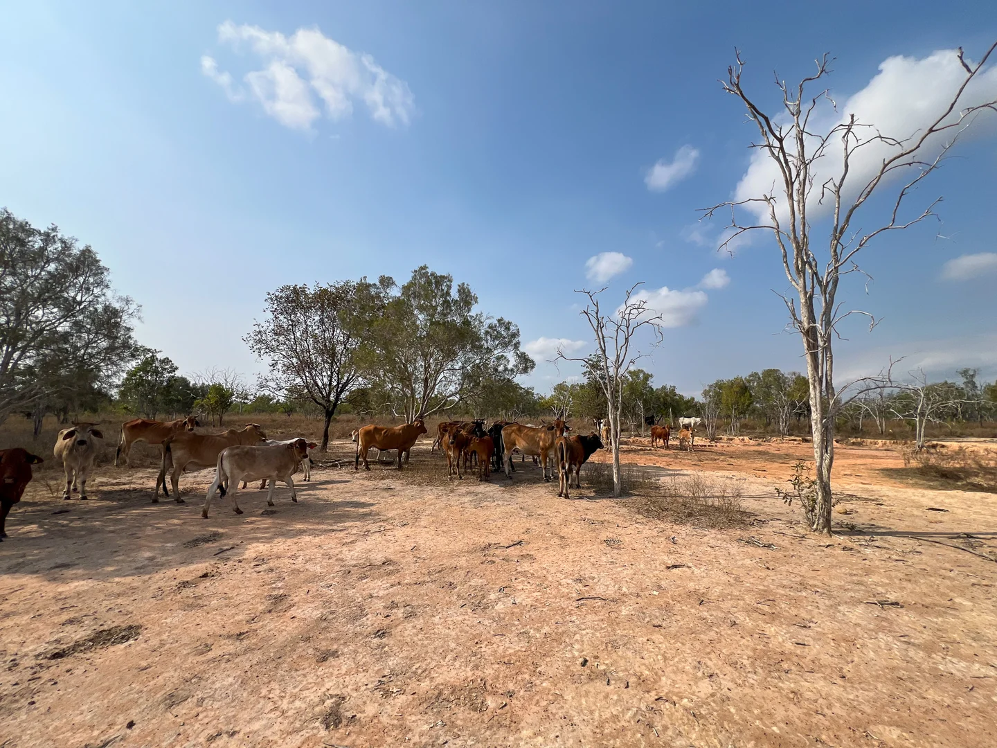 Additional image 11 of 576 McAdam Road, Katherine NT 0850