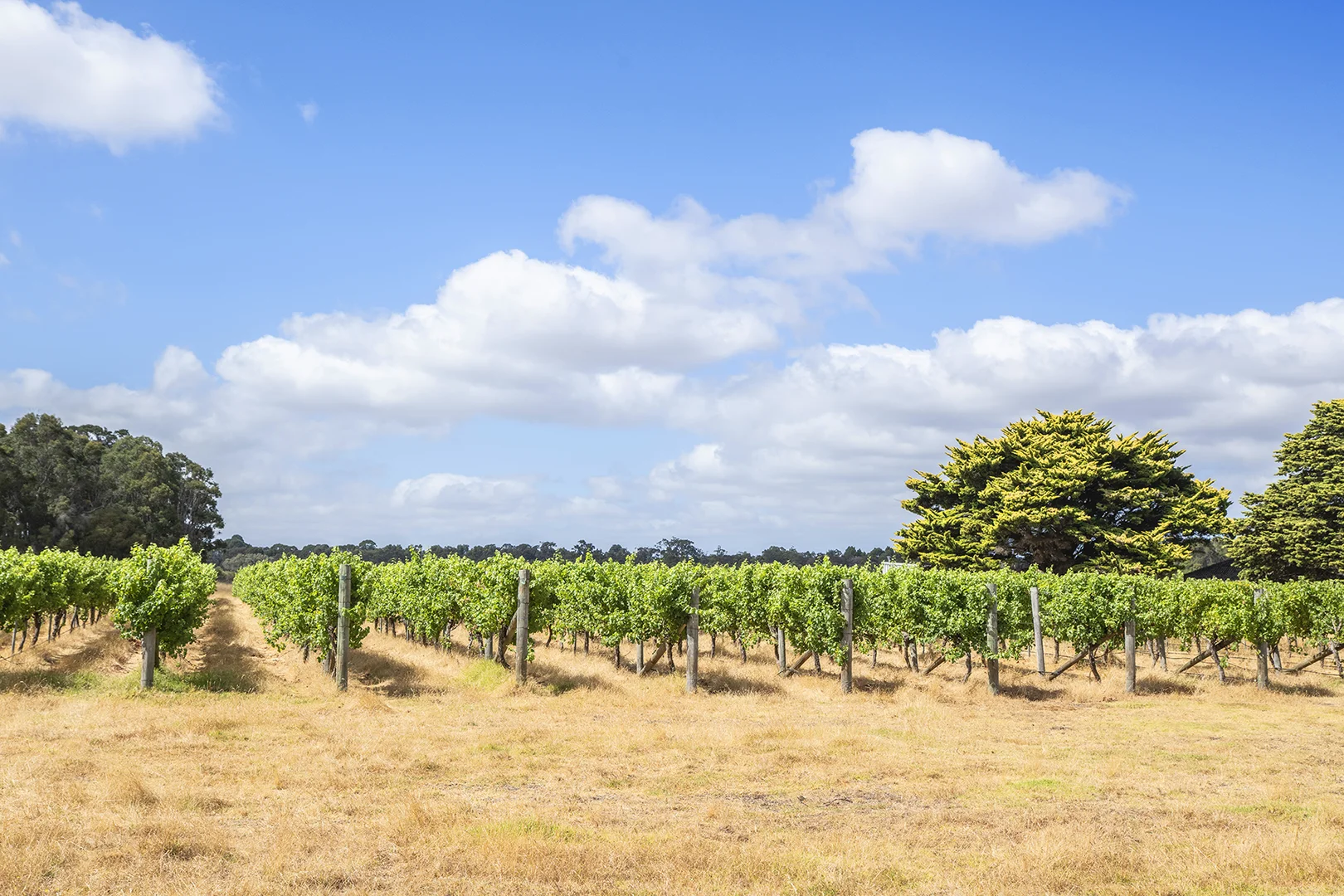 Additional image 18 of 243 Miamup Road, Cowaramup WA 6284