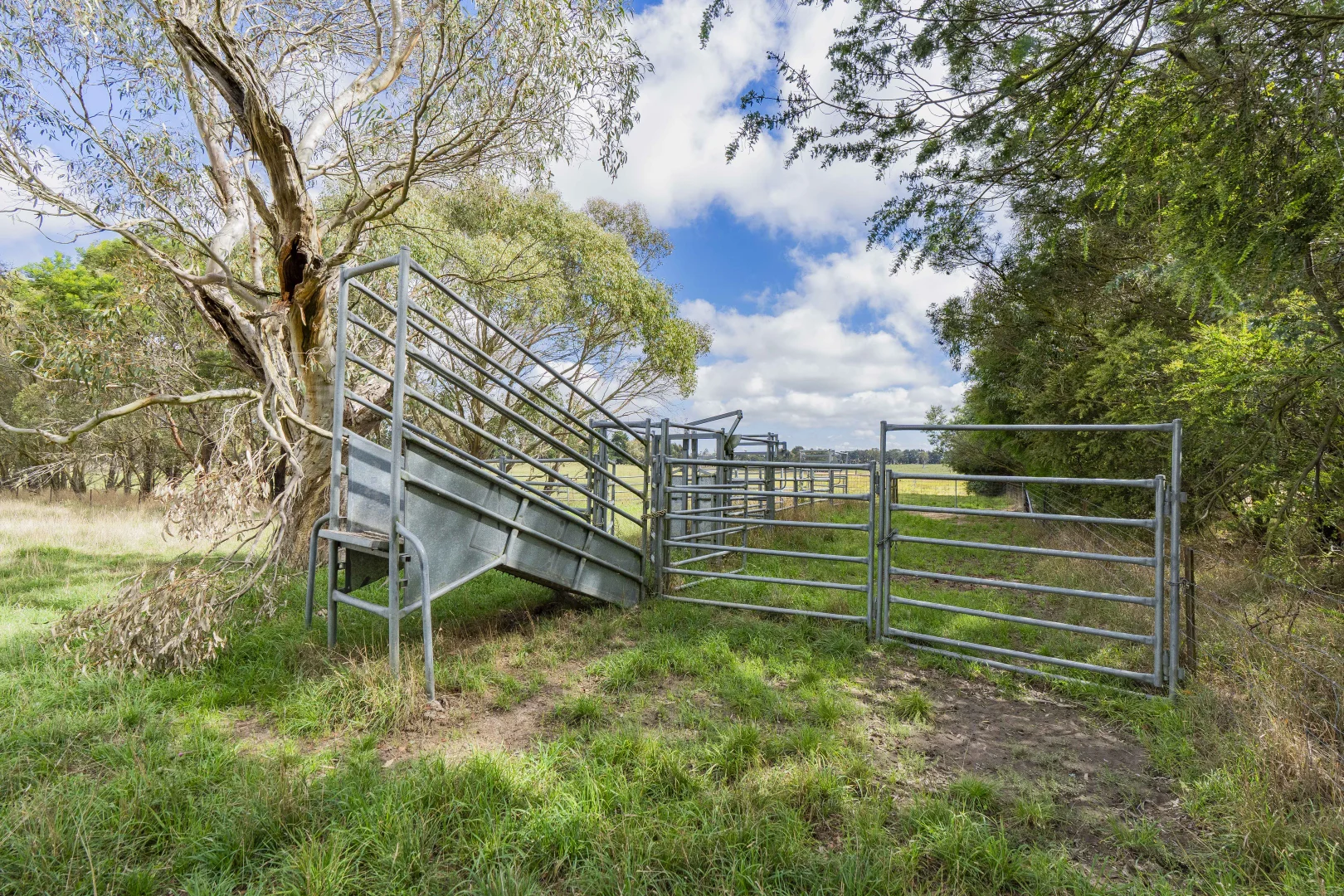 Additional image 9 of 251 Mount Rae Road, Roslyn NSW 2580