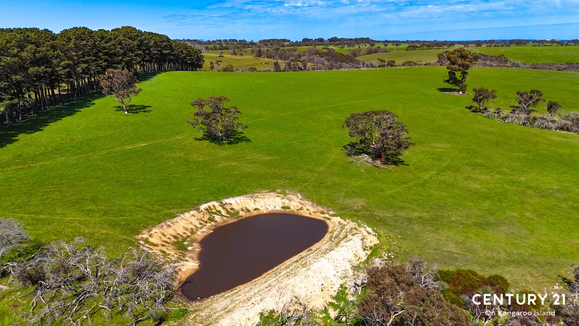 Additional image 13 of 2265 Playford Highway, Kohinoor SA 5223