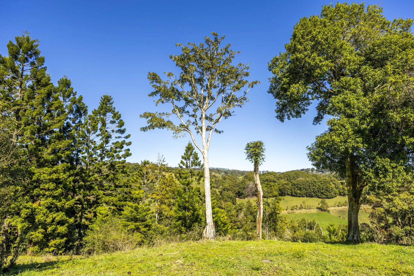 Additional image 7 of 27A Paradise Court, McLeans Ridges NSW 2480