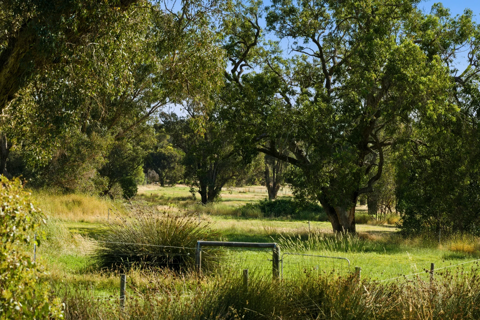 Additional image 9 of Lot 30 Windy Hollow Vale, Kangaroo Gully WA 6255