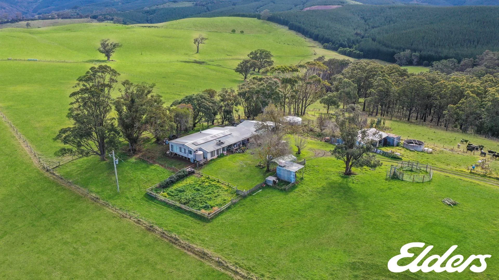 Additional image 20 of 147 Dp Moores Road, Jack River VIC 3971