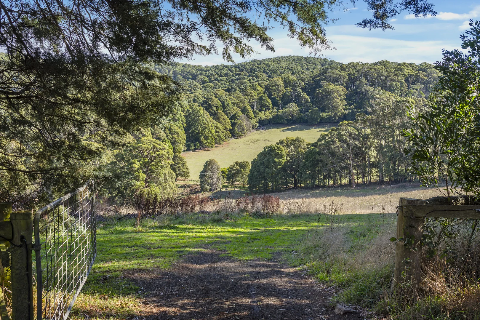 Additional image 14 of 131 Shannons Lane, Kerrie VIC 3434