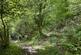 Additional image 3 of Waungilwen, Drefach-Velindre SA44