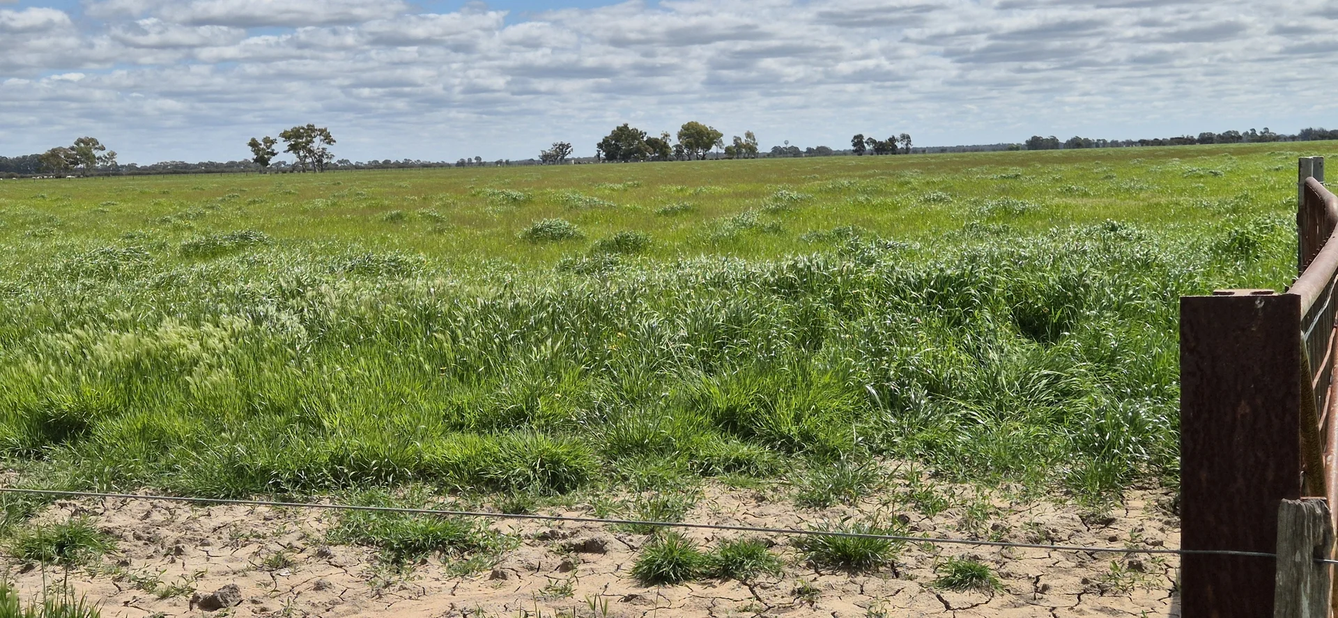 Additional image 13 of 4 Pin Pin Road, Beermullah WA 6503