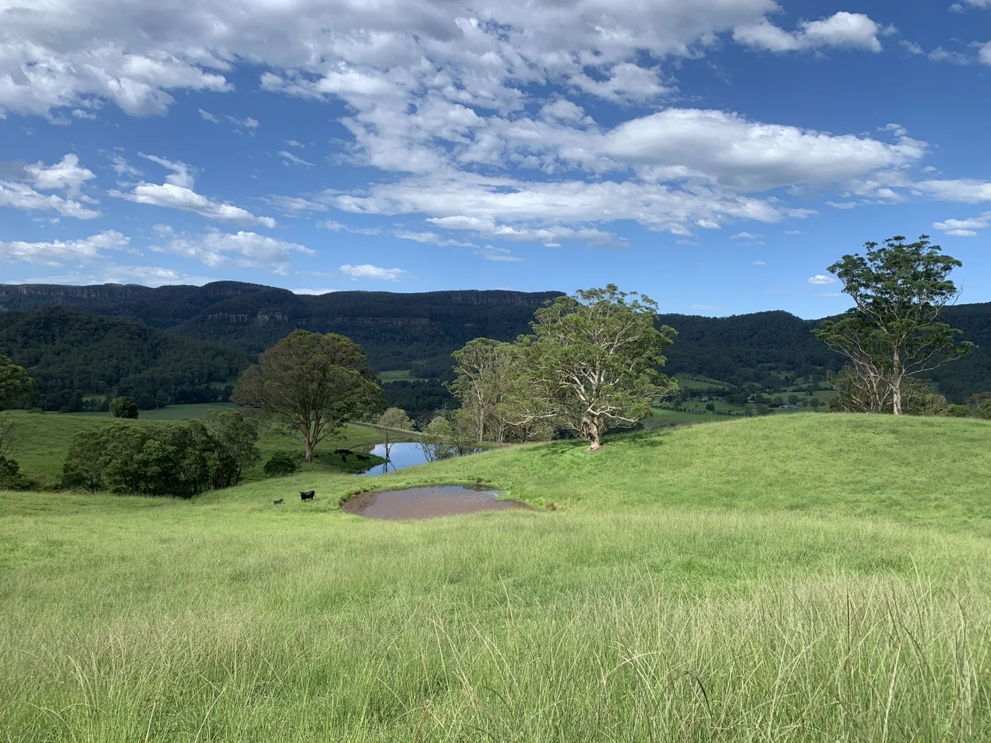 Additional image 33 of 2393 Moss Vale Road, Kangaroo Valley NSW 2577