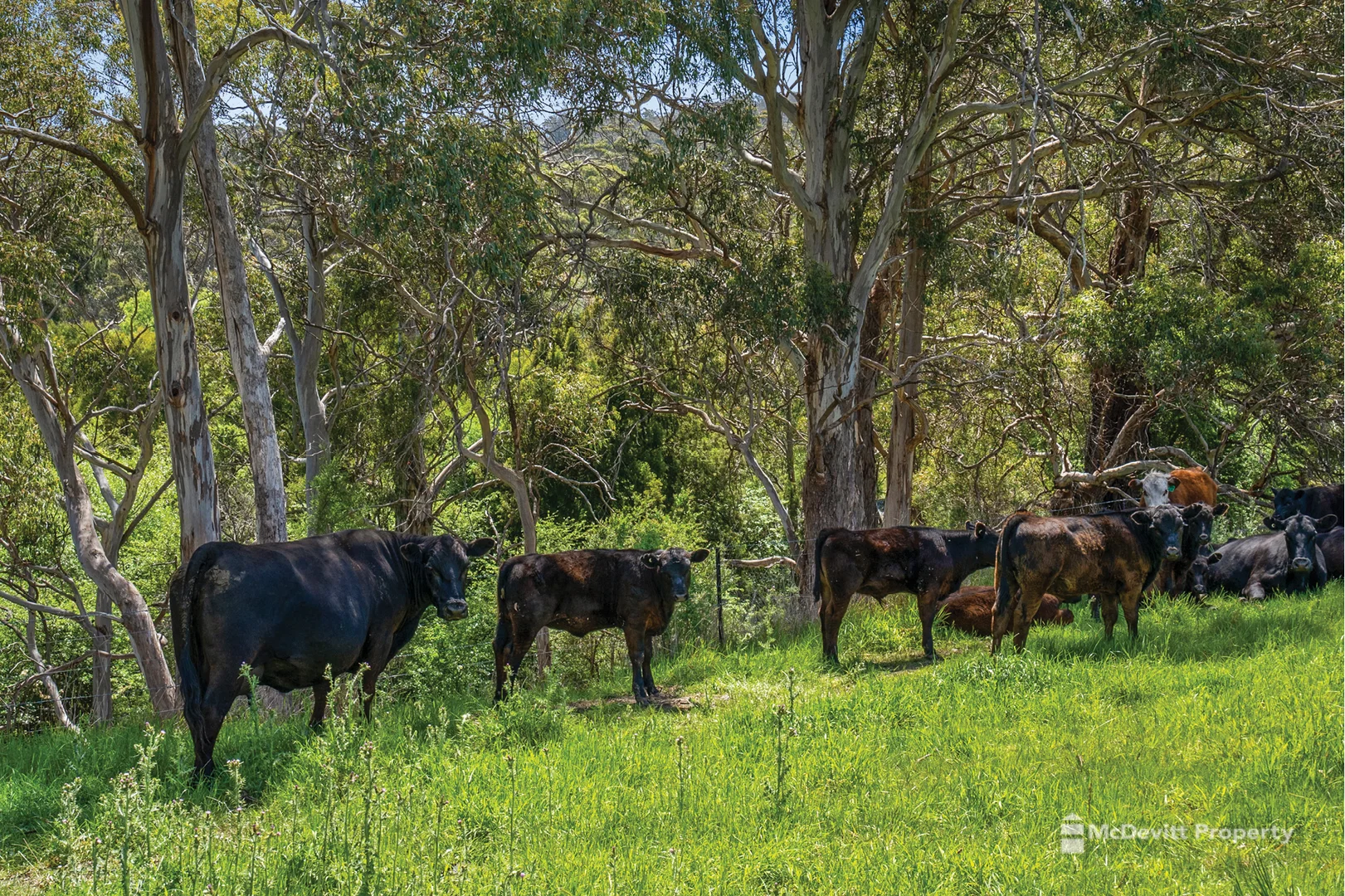 Additional image 19 of Lots 22-26/918 Nugent Rd, Wattle Hill TAS 7172