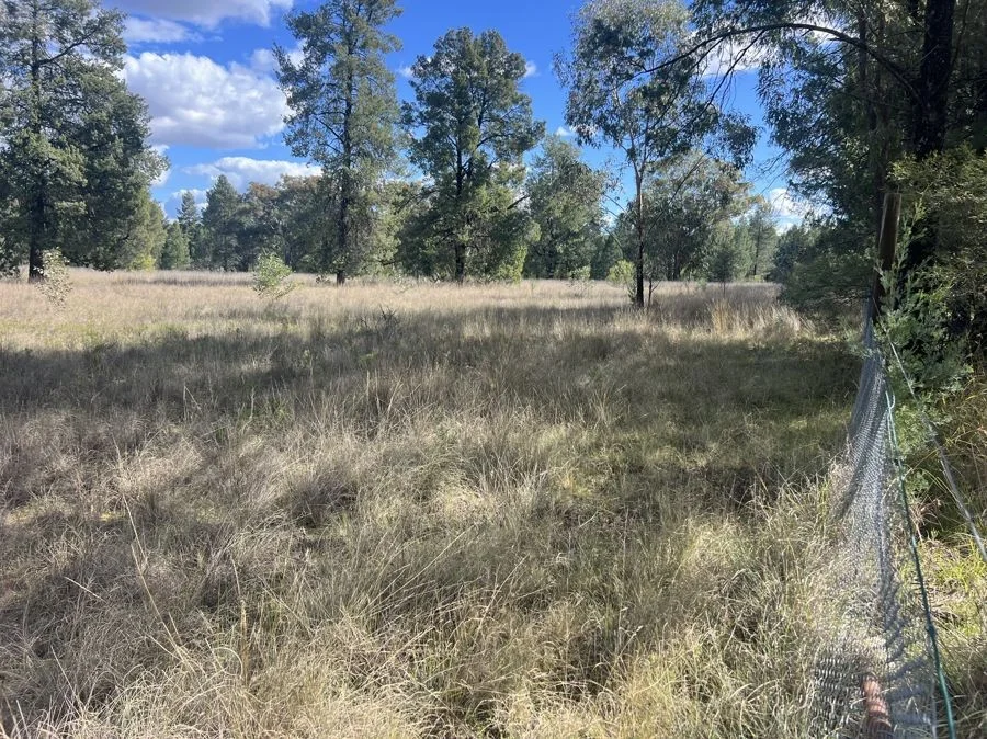 Additional image 5 of Part 127 Creek Road, Baradine NSW 2396