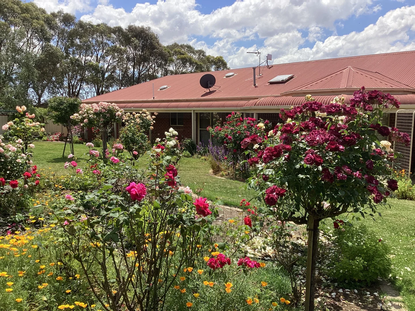 Additional image 21 of 226 Wilsons Road, Haddon VIC 3351