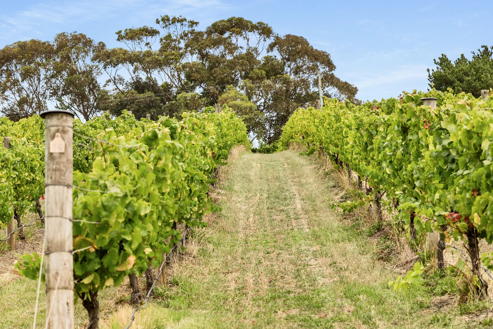 Additional image 28 of 26 Merricks Road, Merricks VIC 3916