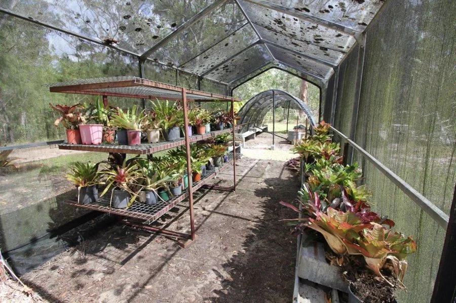 Additional image 26 of 492 Capricornia Drive, Deepwater QLD 4674