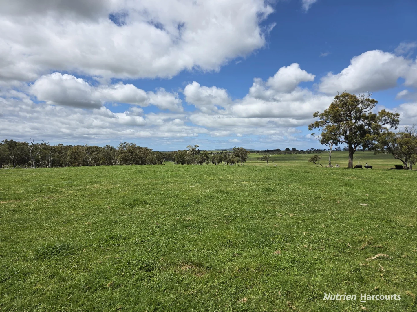 Additional image 22 of 1867 Chester Pass Road, Napier WA 6330