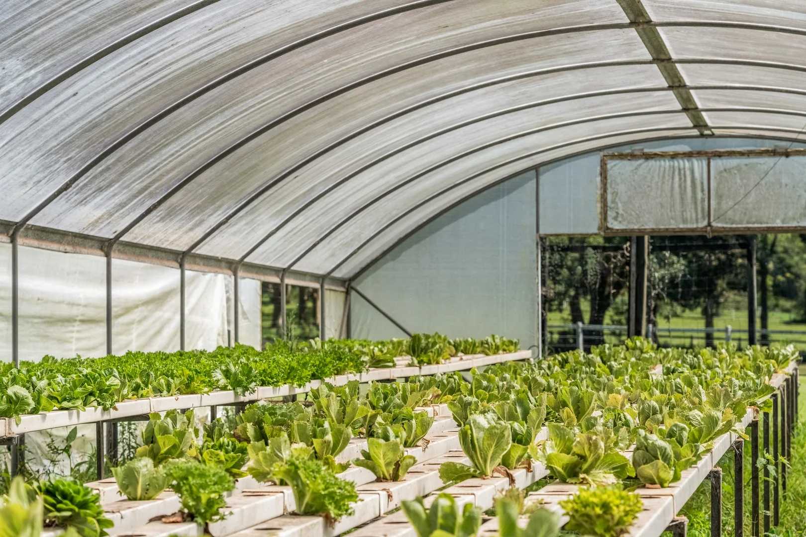 Additional image 22 of 836 Fernleigh Road, Brooklet NSW 2479