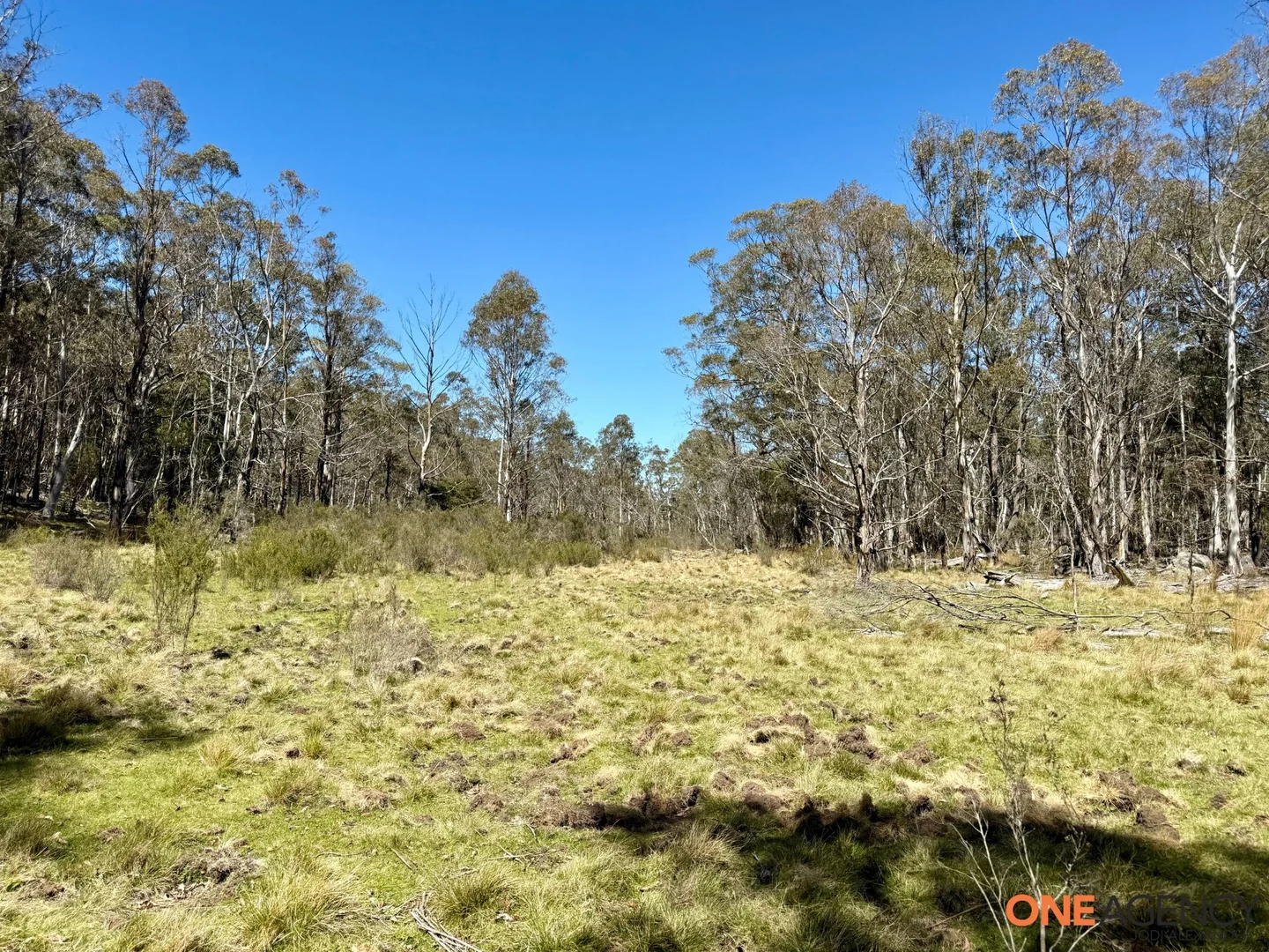 Additional image 6 of Lots 113 & 114 Kydra Firetrail Greenlands Road, Greenlands NSW 2631